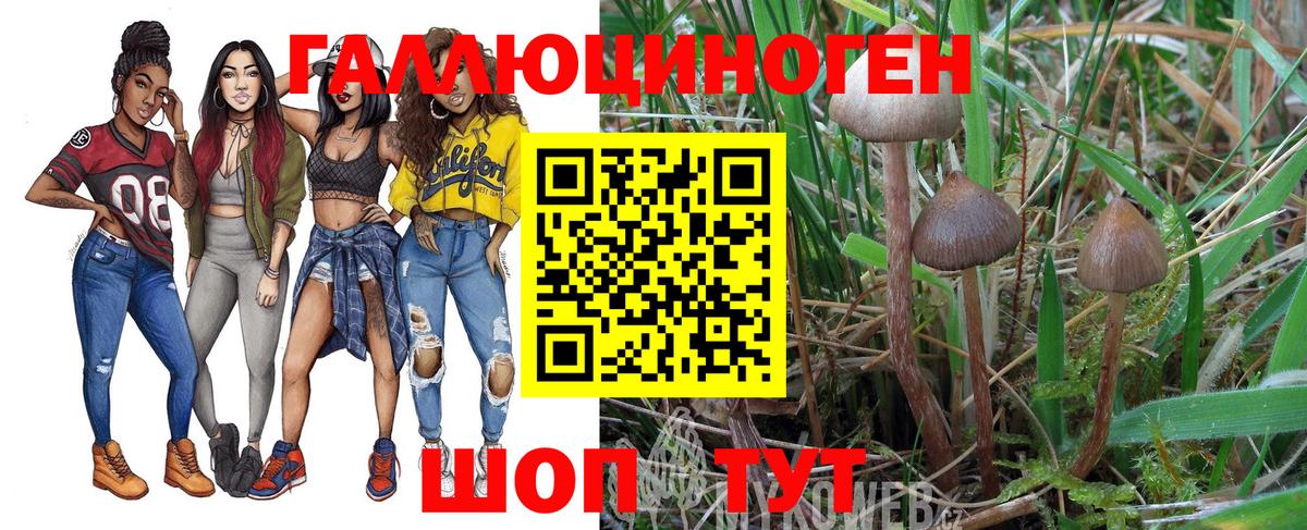 Галлюциногенные грибы мухоморы  Вход с VPN  Псилоцибиновые грибы прущие грибы  Клинцы 