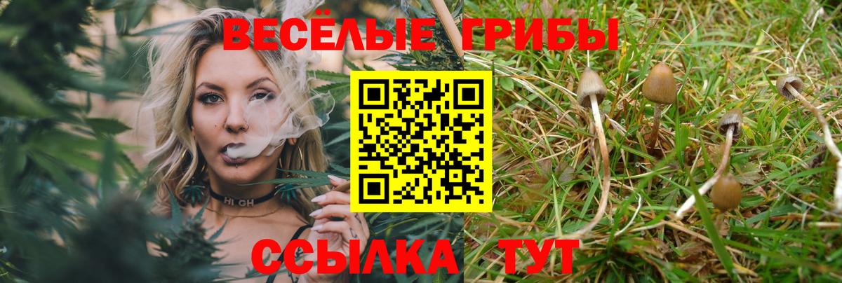 Галлюциногенные грибы прущие грибы Клинцы